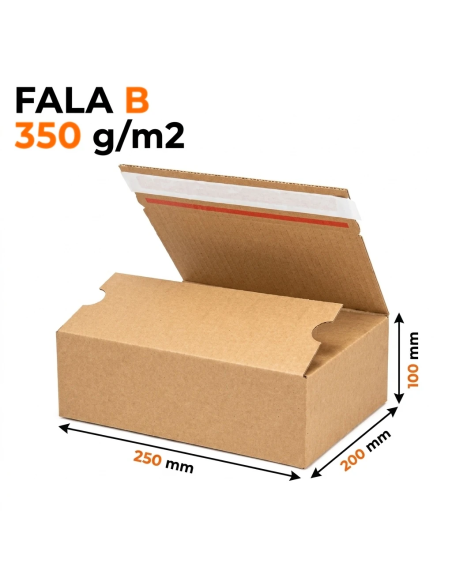 Karton automatyczny z paskiem klejącym 250x200x100 mm B/350 – komplet 10 szt.